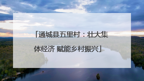 通城县五里村：壮大集体经济 赋能乡村振兴